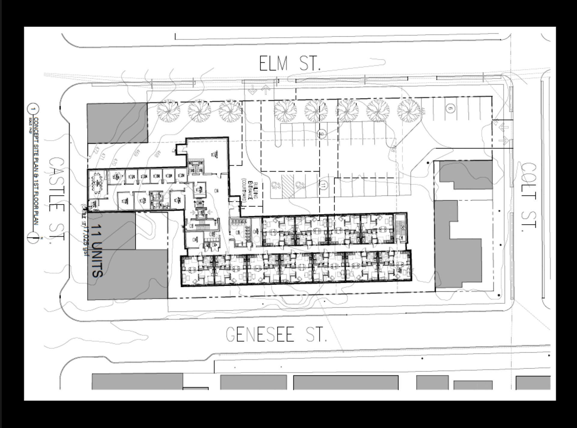 Geneva City Council hears proposal for M housing project on Genesee Street